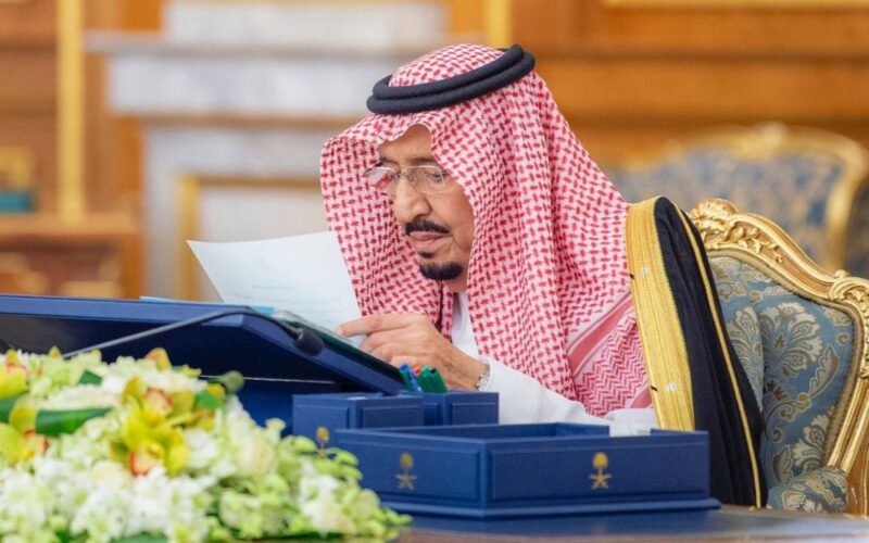 التأشيرة التعليمية السعودية بنوعيها عبر منصة ادرس والمستفيدين منها ومزايا استحداثها
