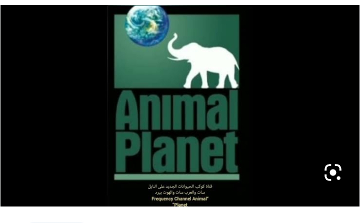 تردد قناة كوكب الحيوانات الجديد 2023-2024