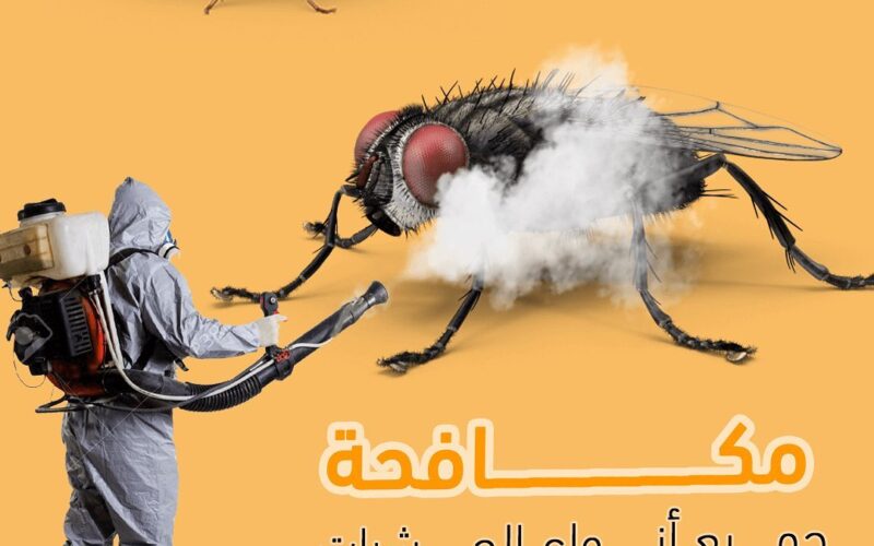 افضل شركه مبيدات حشرات في عمان