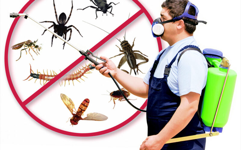 أفضل شركات مكافحة الحشرات بالكويت خدمات