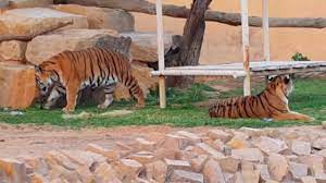 حديقة حيوانات الرياض